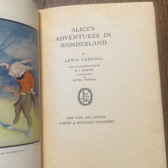 RARE 1901 Alice’s Adventures in Wonderland, Lewis Carroll, Illust. Peter Newell - Picture 3 of 11